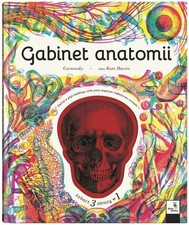 Używany, Gabinet anatomii (Gabinet anatomii) na sprzedaż  PL