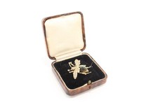 antique brooch for sale antique brooch for sale LEEDS
