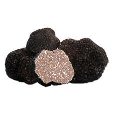 80g tartufo nero usato  Villa Celiera