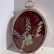 Vintage herbarium dried for sale  Patrick Springs
