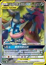 Pokemon S-Chinese Sun&Moon CSM2cC-162 SR Greninja & Zoroark-GX Holo Mint Alt Art comprar usado  Enviando para Brazil
