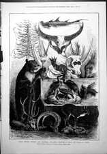 Old indian hunting for sale  UK