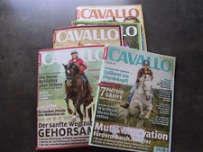 Cavallo 2017 pferde gebraucht kaufen  Katlenburg-Lindau