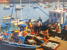 Ancienne carte postale d'occasion  Saint-Pierre-Quiberon