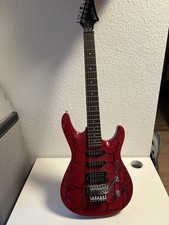 Washburn 40v guitar gebraucht kaufen  Groß-Gerau