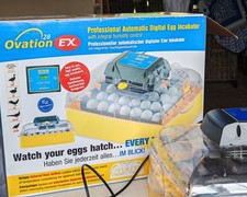 Brinsea ovation egg for sale  BIRMINGHAM