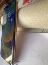 Apple iphone 256gb usato  Settimo Torinese
