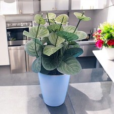 Faux eucalyptus potted for sale  Tempe