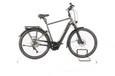 Pegasus premio evo gebraucht kaufen  Kempten (Allgäu)
