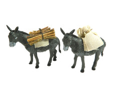 Asino soma con usato Asino soma con usato  Napoli