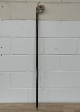 Rams horn curly for sale  UK
