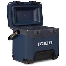 Igloo bmx ice for sale  Lincoln