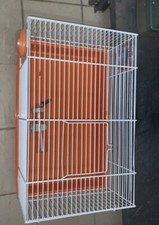 Gabbia criceti piccoli usato  Nuoro