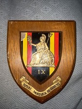 Royal norfolk regiment for sale  PRESTON