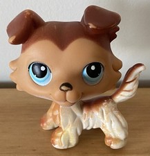 Littlest petshop lps d'occasion  Nègrepelisse
