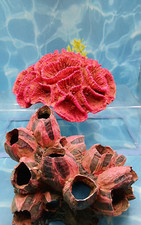 Pieces fresh salt for sale  Cape Canaveral