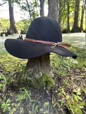 Charlie horse black for sale  Shreveport