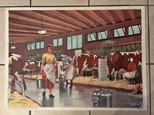 Affiche scolaire rossignol d'occasion  Crémieu