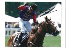Tom marquand signed for sale  EPSOM