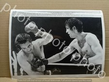 Rara a.p. boxe usato  Cuneo