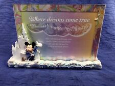 Disney theme parks for sale  Brighton