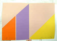 Brochure pittore cinese usato  Cremona