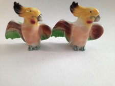 Vtn moluccan cockatoo for sale  Gresham