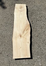 Big leaf maple for sale  Camas