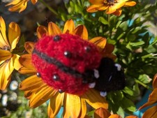 Ladybird brooch. needlefelted. for sale  WATERLOOVILLE