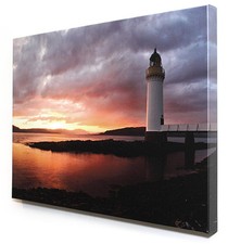 Photo canvas 16x20 for sale  Indianapolis