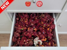 Bakugan pyrus sammlung gebraucht kaufen  Deutschland