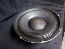 Vintage swr goliath for sale  Jupiter
