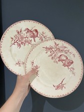 Assiettes plates terre d'occasion  Amplepuis