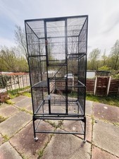 Large birdcage parrots for sale  MANCHESTER