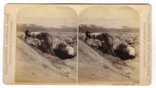 Stereoview cleopatra bowl for sale  Ottawa
