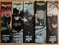 Batman nuovo universo usato  San Prisco