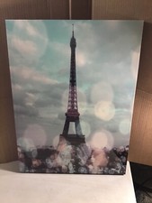 Paris canvas wall for sale  Bethel