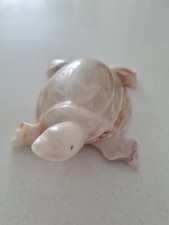 Onyx style turtle for sale  UK