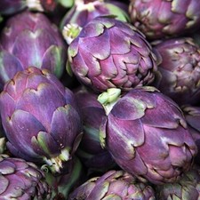 Vegetable artichoke italian for sale Vegetable artichoke italian for sale  HIGH WYCOMBE