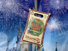 Walt disney parks for sale  Windermere