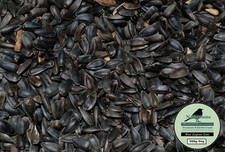 Premium black oil for sale  NORWICH