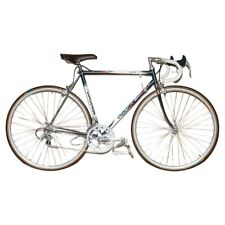 Exquisite 54.5cm concorde for sale  PULBOROUGH