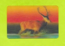 Carte match cerf d'occasion  Nancy-