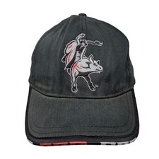 hat pbr riding bull for sale  Knightstown
