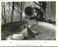 1990 press photo for sale  Memphis