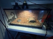 Gallon fish tank for sale  Houston