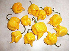 Carolina reaper yellow usato  Italia