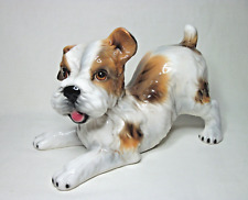 Italian fox terrier for sale  WOLVERHAMPTON