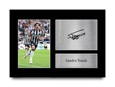 Sandro tonali newcastle for sale  UK