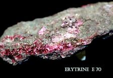 Erythrine cm rouge d'occasion  Barbezieux-Saint-Hilaire